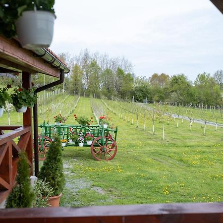 Cabana Dopca Racosu de Jos Luaran gambar
